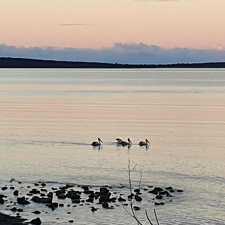 Port Lincoln Caravan Park North Shields Zewnętrze zdjęcie