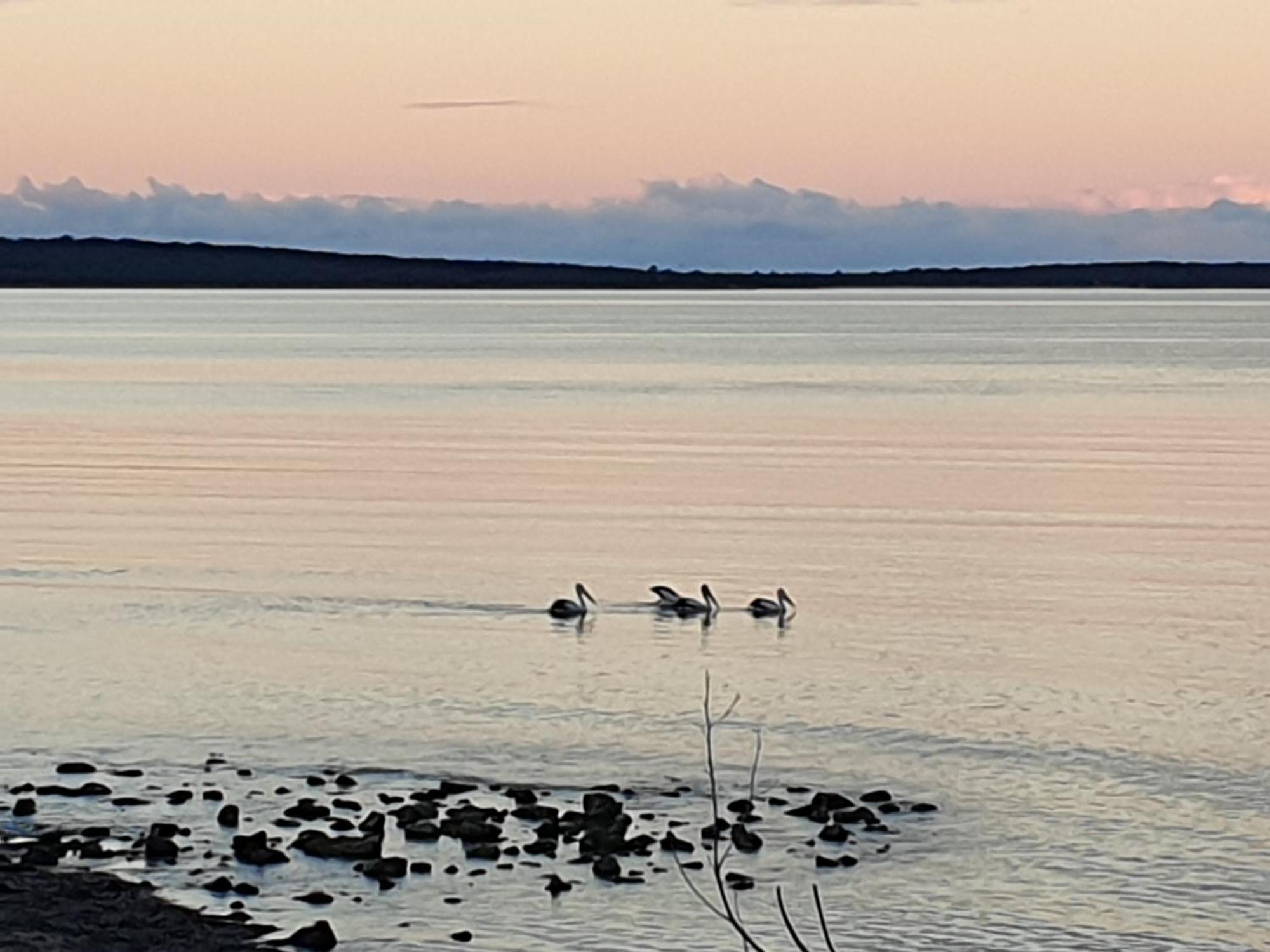 Port Lincoln Caravan Park North Shields Zewnętrze zdjęcie
